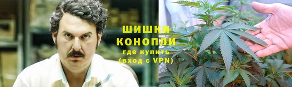 стаф Богородицк
