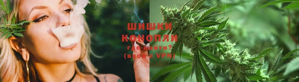 тгк Богданович