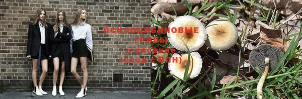 мескалин Богородск