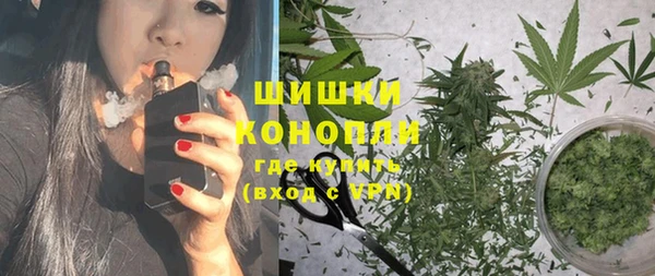 стаф Богородицк
