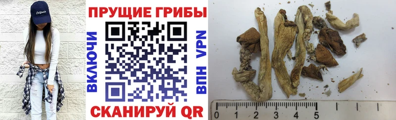 Псилоцибиновые грибы MAGIC MUSHROOMS  Медвежьегорск 