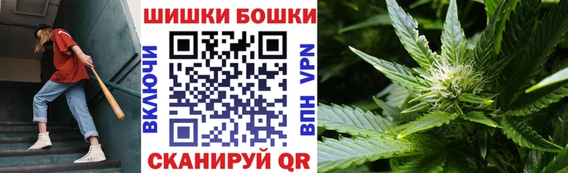 где можно купить   площадка как зайти  Бошки марихуана SATIVA & INDICA  Медвежьегорск 